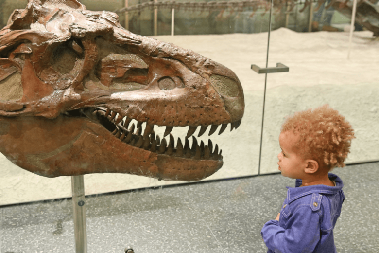 American Museum of Natural History New York City