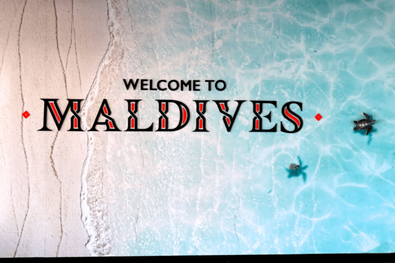 Our epic journey from Baltimore to NYC, Milan, Dubai, and the Maldives