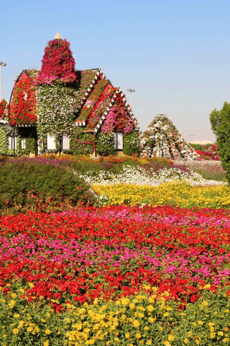 Dubai Miracle Garden United Arab Emirates Tourism Activity