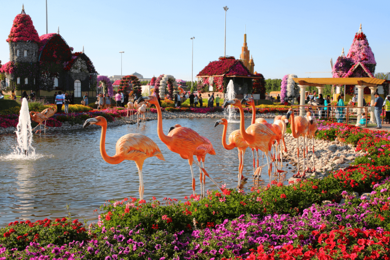 Dubai Miracle Garden United Arab Emirates Tourism Activity