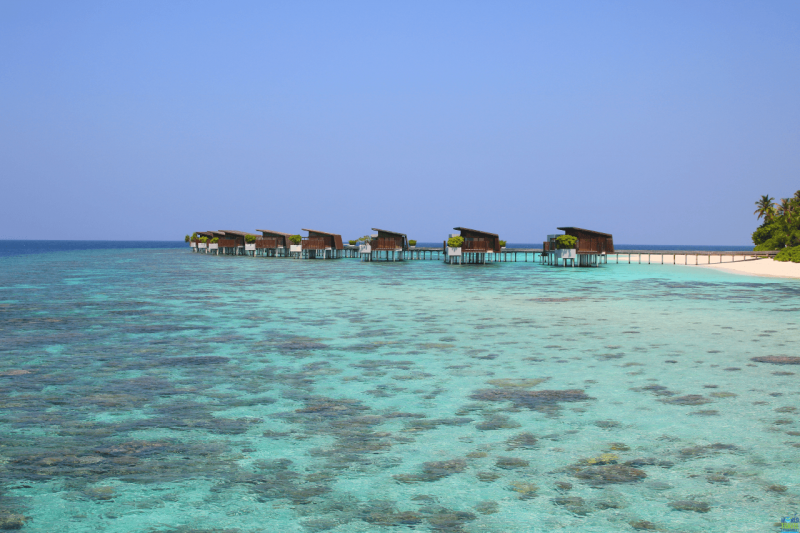 WaterVillaParkHyattMaldivesHadahaa, Park Hyatt Maldives Hadahaa Park Water Villa, Indian Ocean, Maldives, Luxury Travel, Dream Vacation, Bucket List, Luxury Resort, Hadahaa, Coral Reefs, Snorkeling