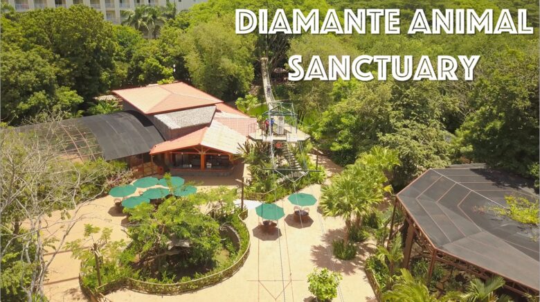 Diamante Animal Sanctuary Costa Rica Drone Video
