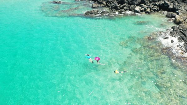 Hapuna beach snorkeling