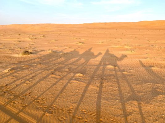 Wahiba Sands Desert Oman